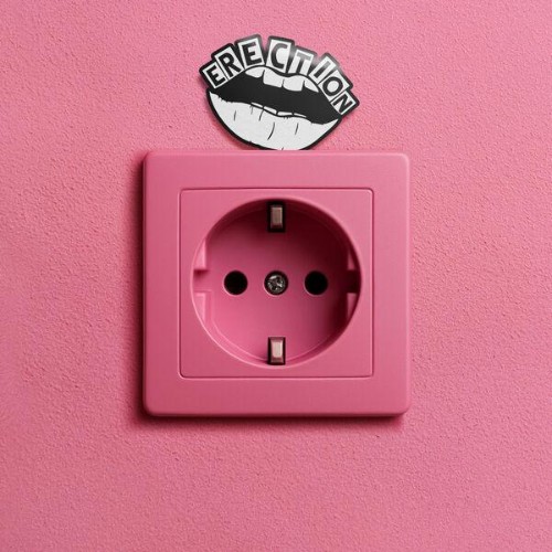 Erection-Plug-It-In-WEB-2026-ENRi-CH.jpg