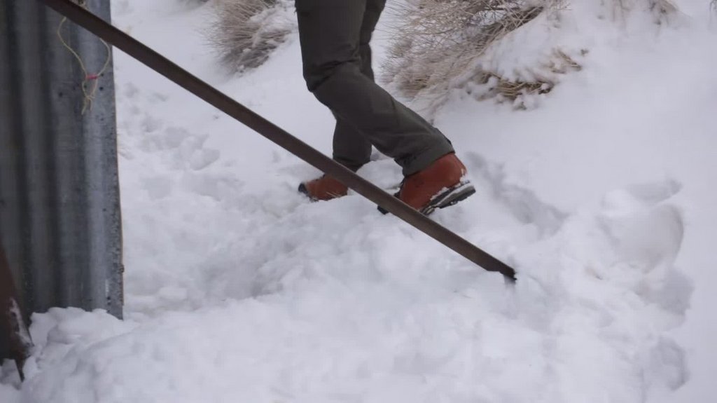 [Image: c0lu9u35gubi.jpg]