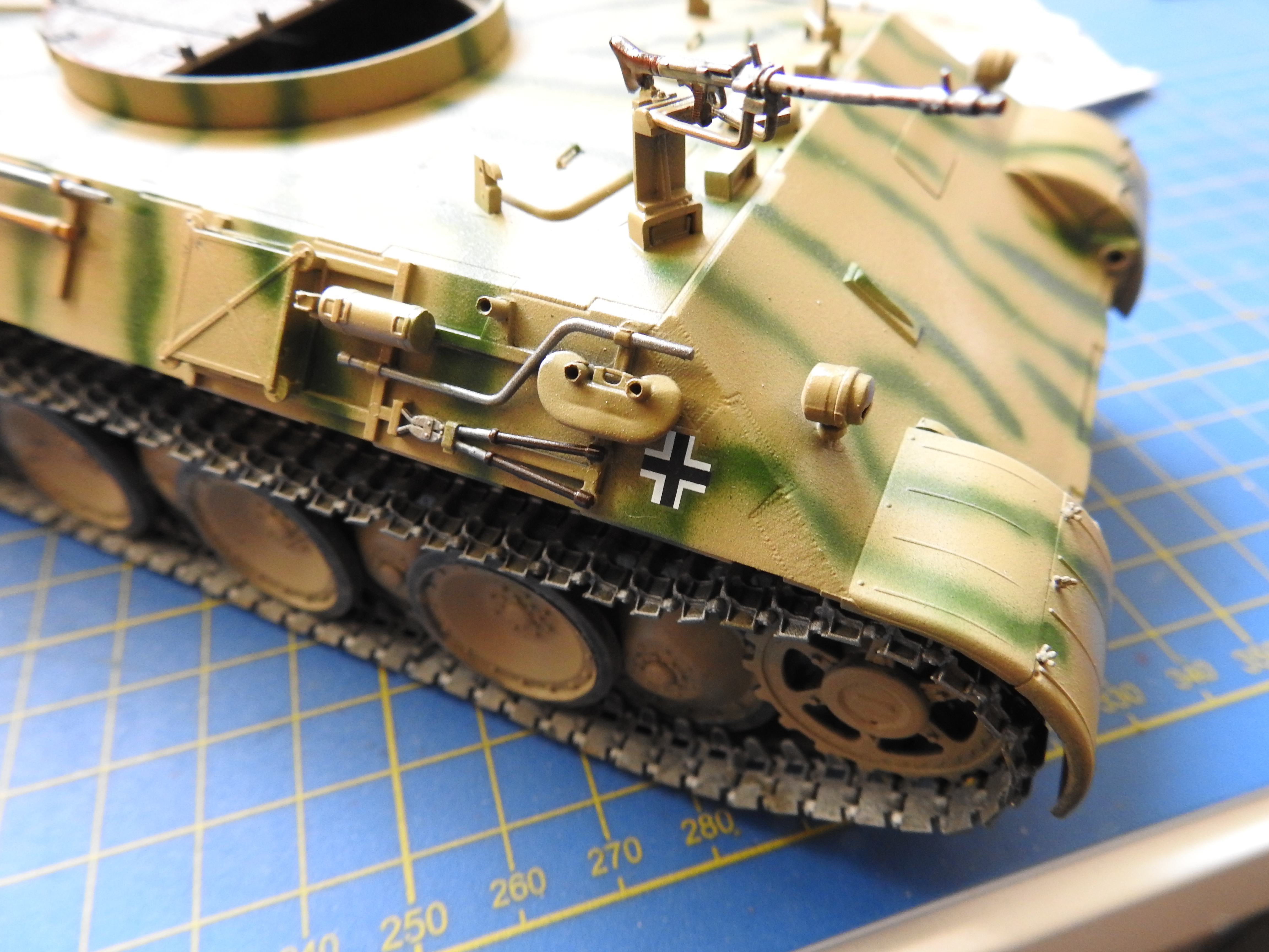 Bergepanther, ICM, 1/35 DSCN7360