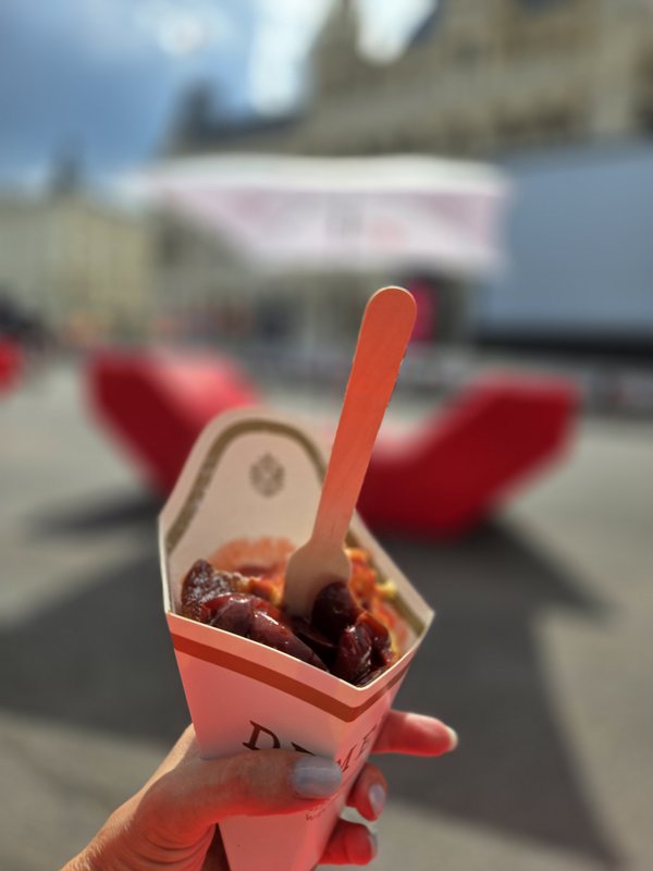 Горы, замки, имперское величие — всё это Австрия