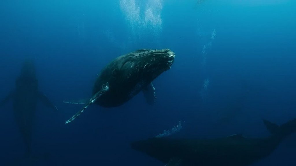 [Image: y9bgm1h3f2ui.jpg]