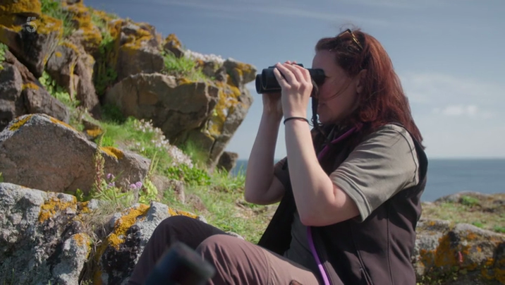 [Image: c75ptjk0yob7.png]