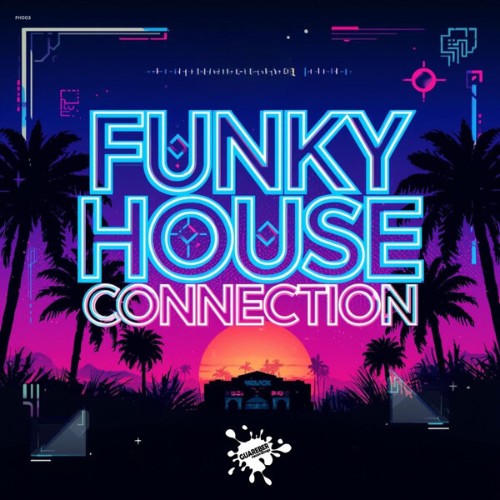 VA - Funky House Connection (2026) MP3