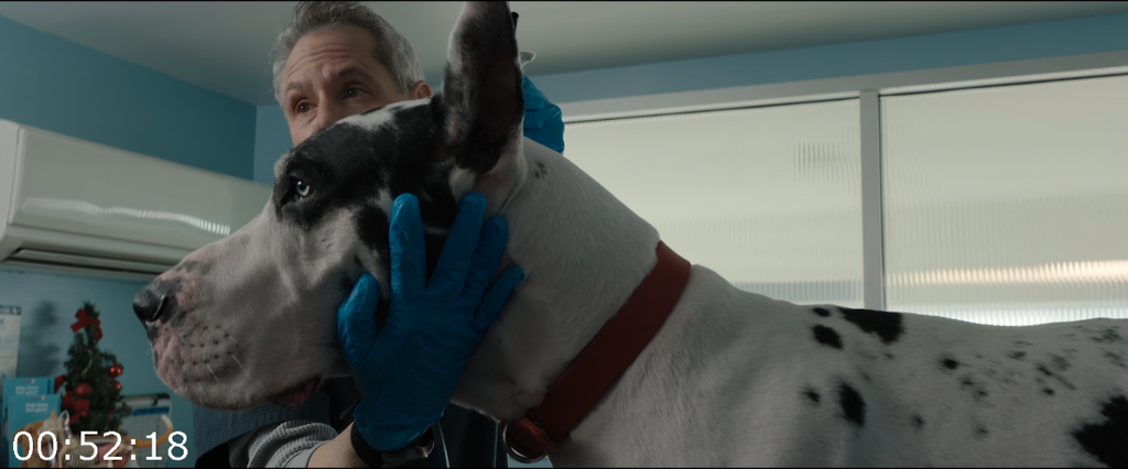 [Image: mkjp13ft3dq2.png]