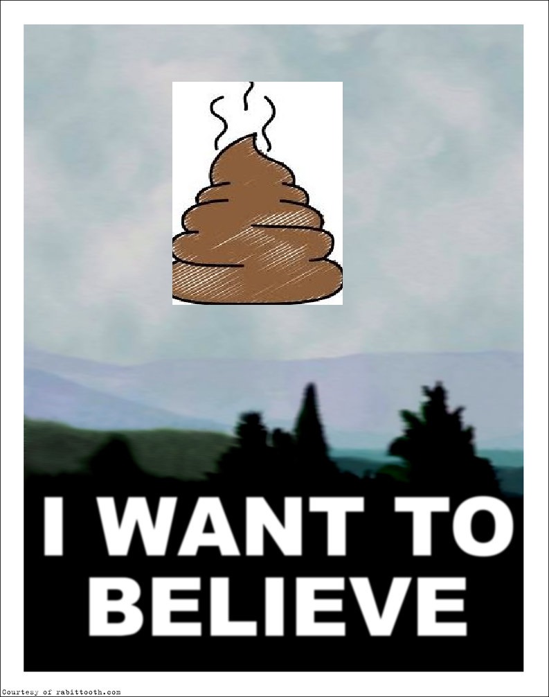 x_files_i_want_to_believe_poster_blank_by_rabittooth-d53bt10.jpg