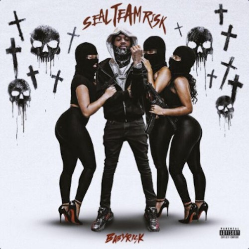 Baby-Risk-Seal-Team-Risk-WEB-2026-ENRi-C