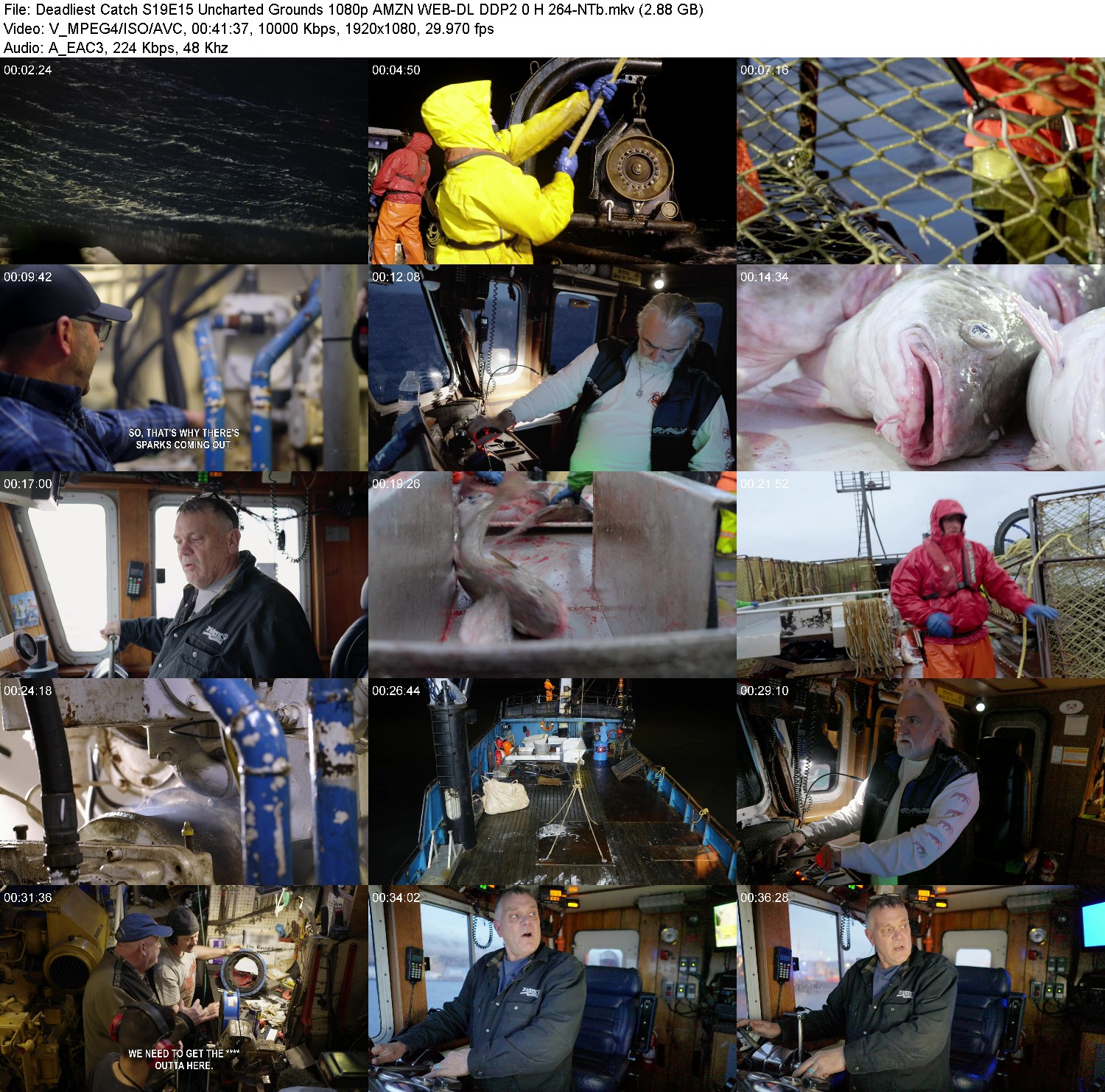 [Image: 27anygyri29a.jpg]