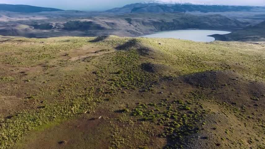 [Image: hib131gzw6dk.jpg]