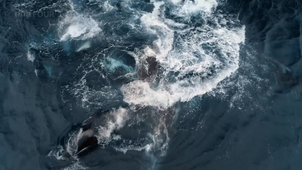 [Image: ah2uwp6r2r7u.jpg]