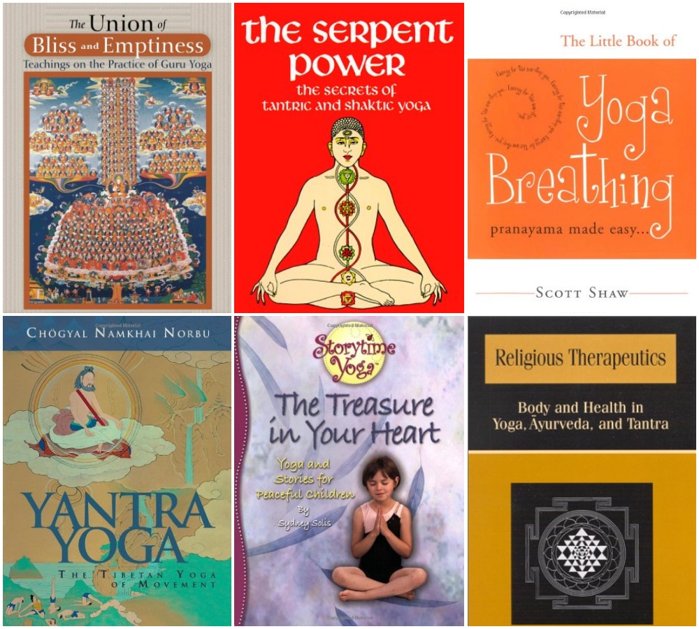 20 Yoga Books Collection Pack-8