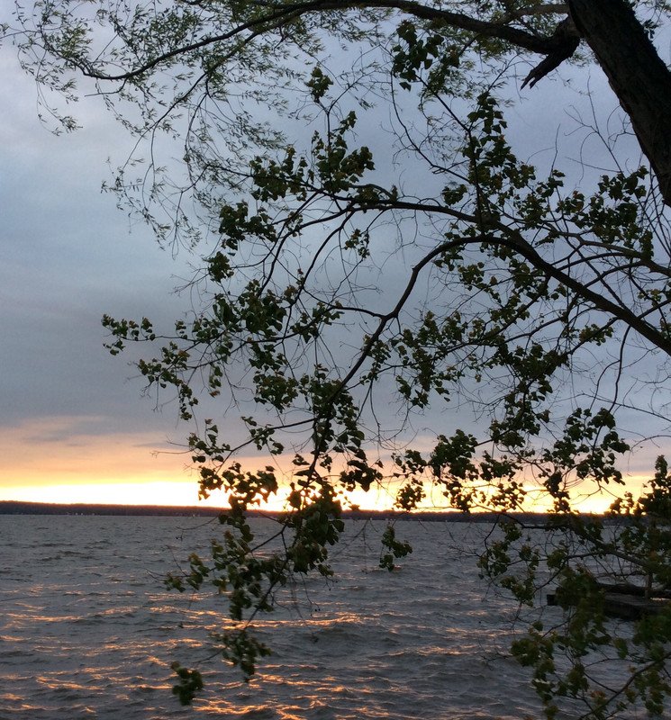 [Image: F27357-DA-7604-4677-918-B-2-B1-F50323-A52.jpg]