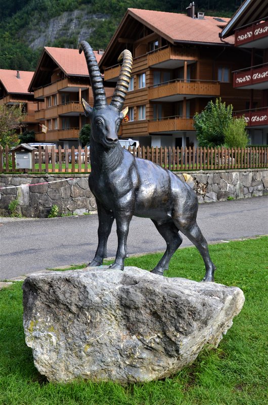 BRIENZ E ISELTWALD-9-9-2019 - Suiza y sus pueblos-2019 (67)