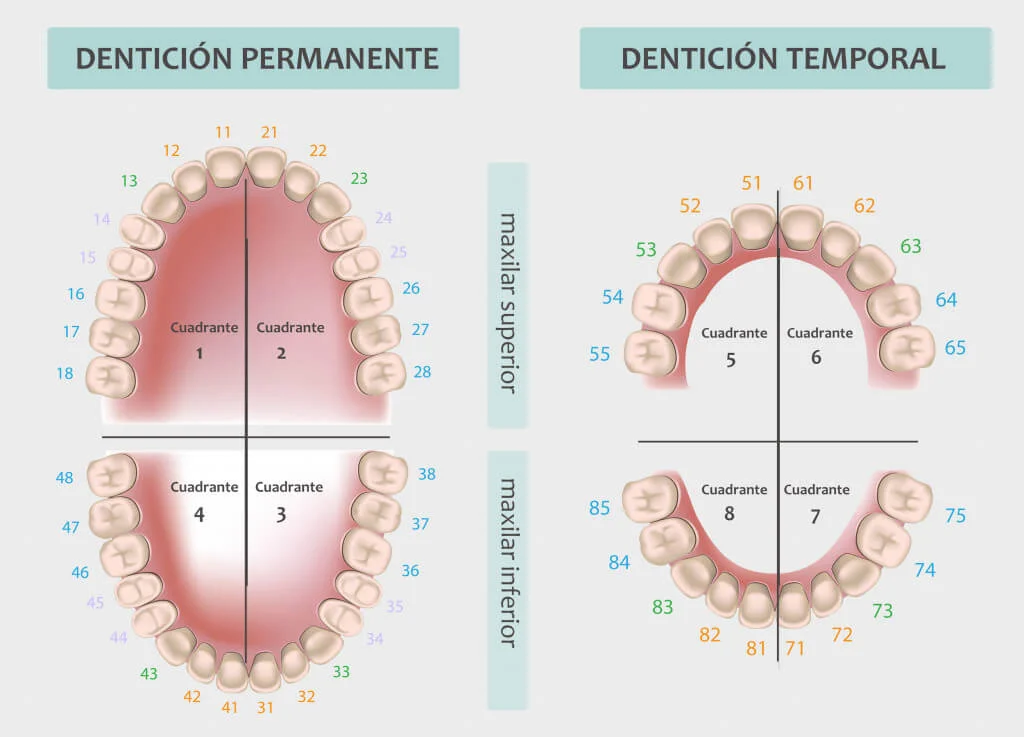 Odontograma ejemplo 2