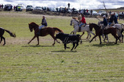 IMG-0011