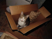 43.1.terror groupie's kids I