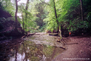 St Nectan's Glen.