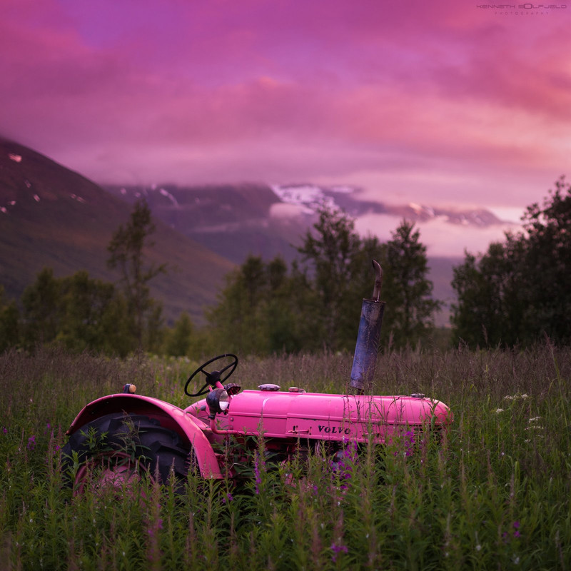 pink-volvo.jpg