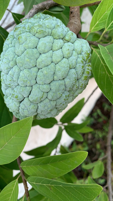 627032C2-780F-4B00-AB8C-E2F9D8E795B0