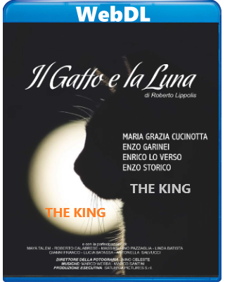Il gatto e la luna (2019) WEBDL 720p x264 E-AC3+AC3 ITA