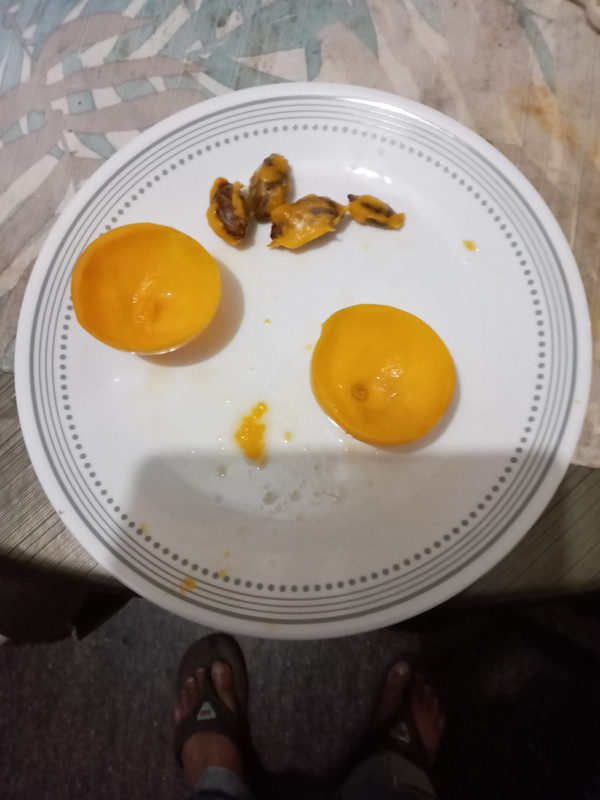 20251004_164946_mfnr