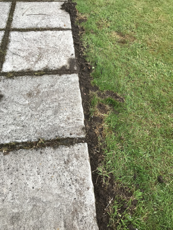 80E97807-864A-4B94-8B53-2EC157DB1A82