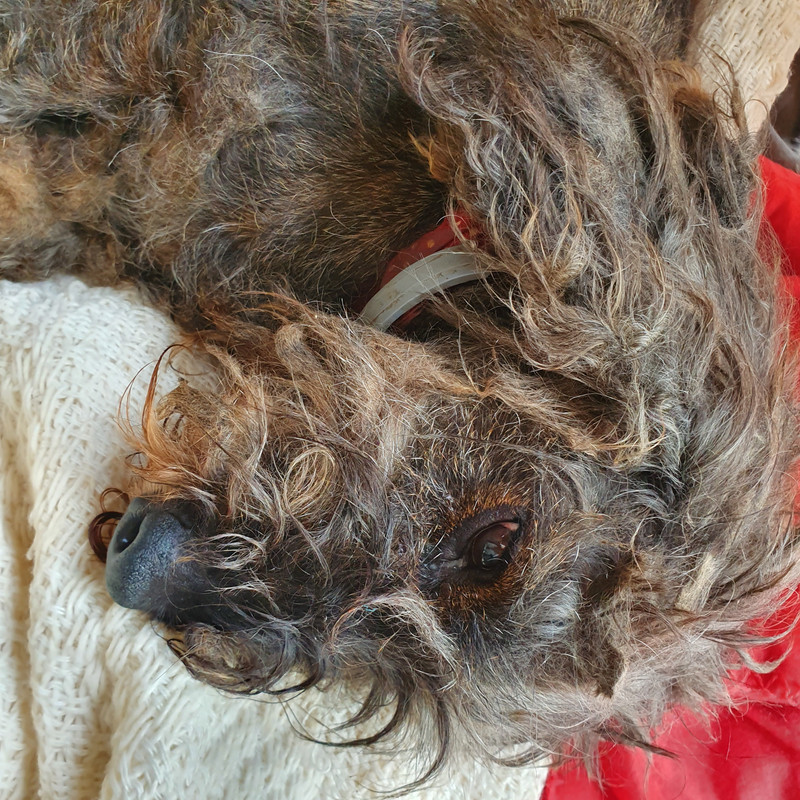 [Image: 20210603-171254.jpg]