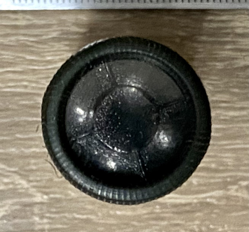 ED784221-8FFC-407E-9952-9B6CC30AEA65