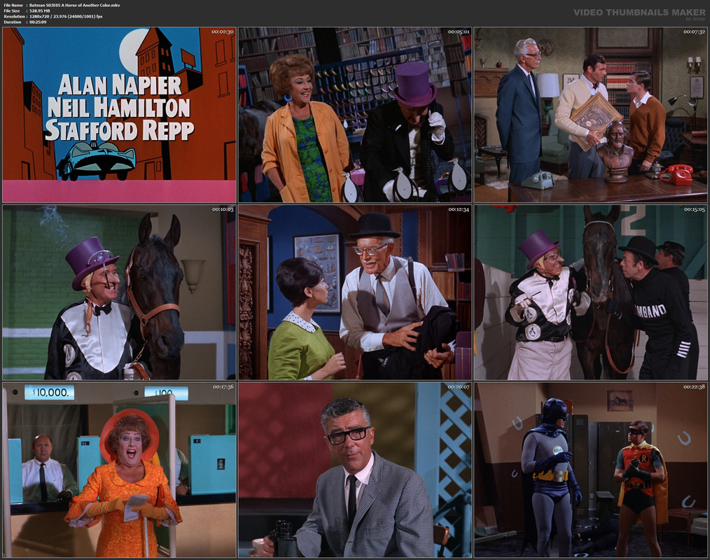 Batman S03E05 A Horse of Another Color.mkv