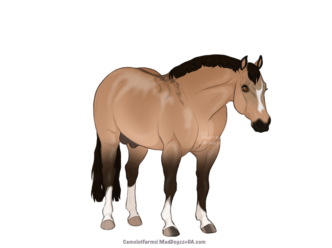 4A42FADD-4B65-4FCA-BB04-072170CB83C1