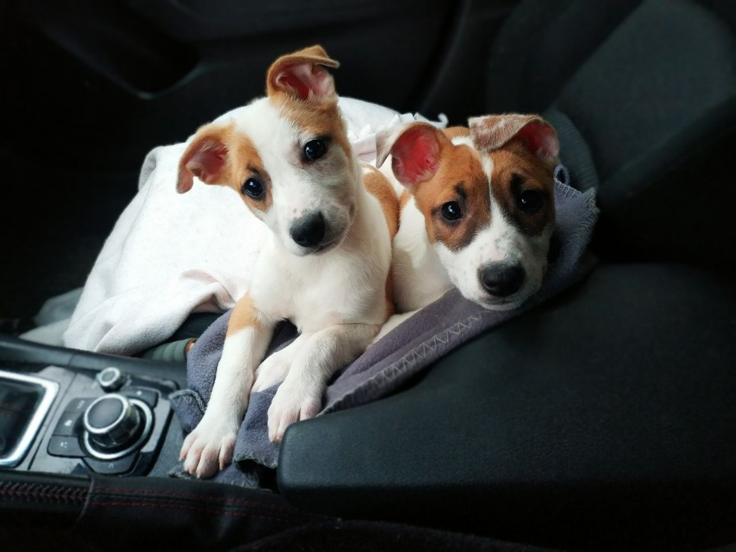 82CEBB8E-CC28-4B53-BEE1-C074AC14226F