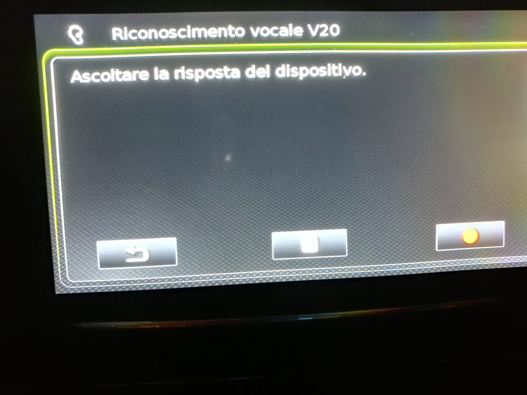 Problema vivavoce vitara