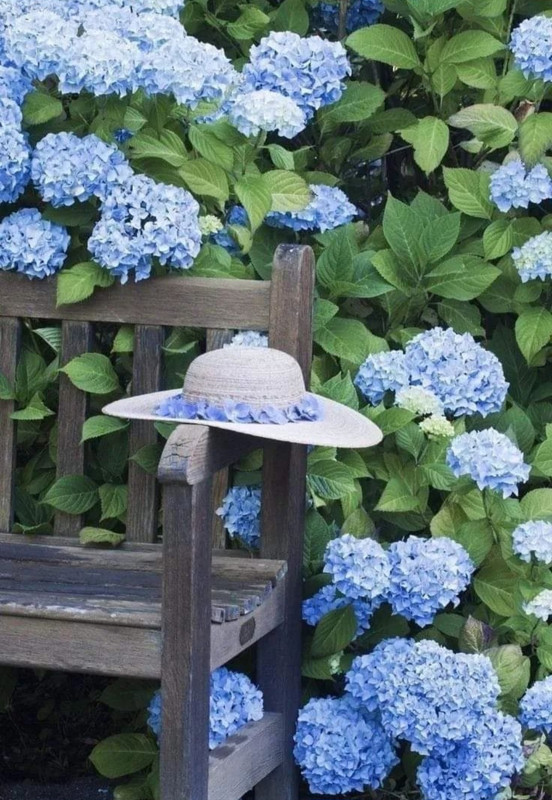 Screenshot_20240425_210232_Threads