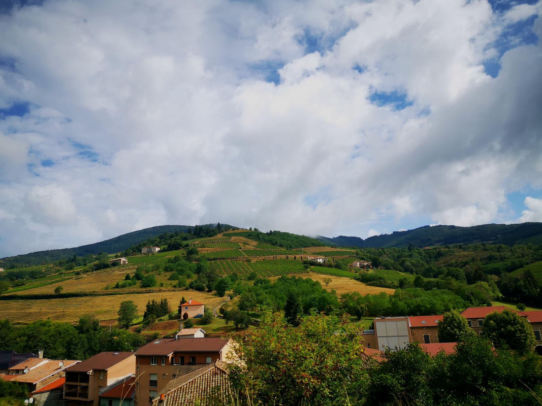 Bourgogne2019 (28).jpg.1