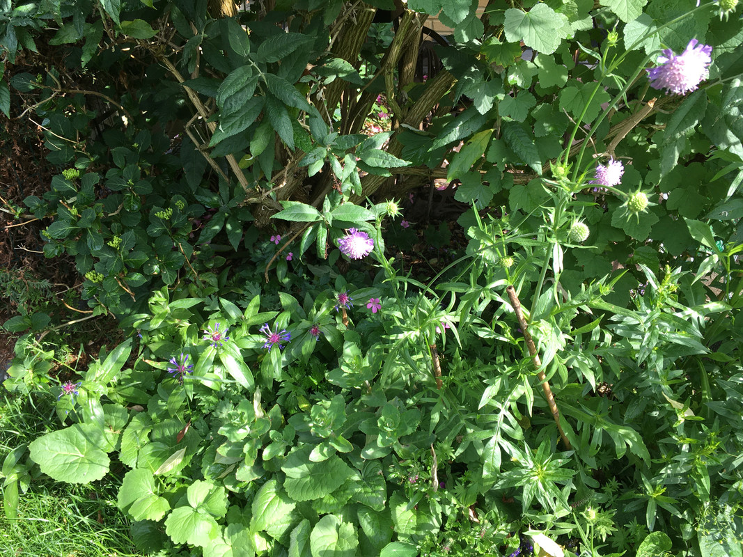 364E13C2-AF12-4444-9841-DB07130A7880