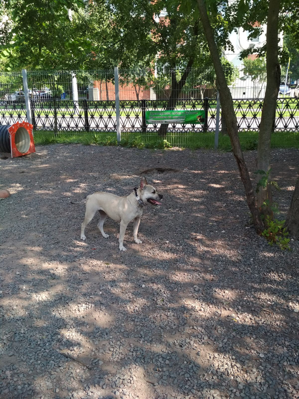 D0DBA61D-5372-499E-ACC2-AD9885C06AA5