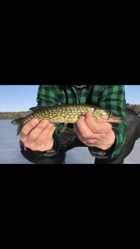 EF619D4B-0D05-474E-B231-E88344FB2F9A