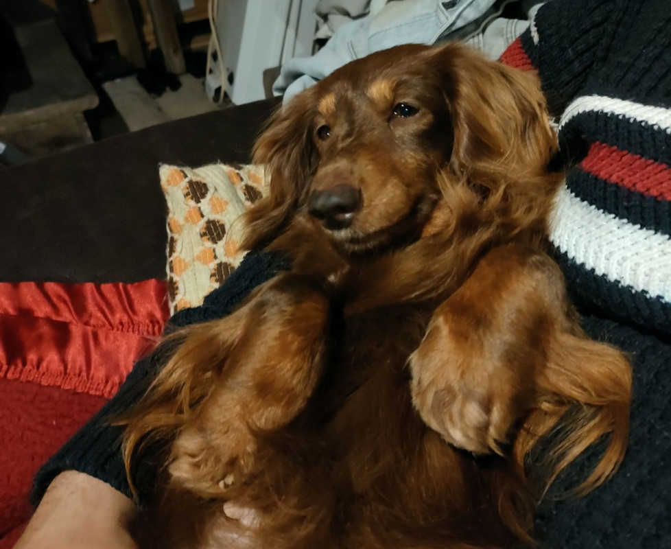 [Image: IMG-20240411-080329.jpg]