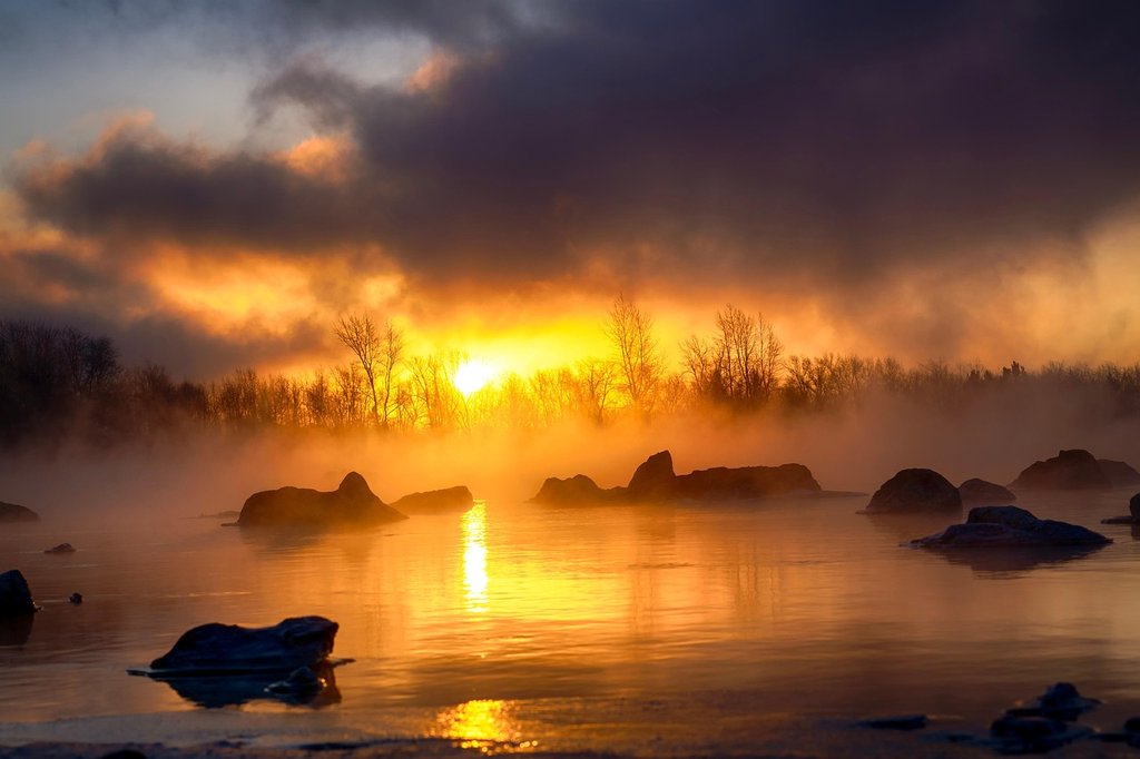 gold-river-8310014-1280.jpg