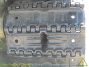 IMG-3466