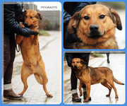 Be-Funky-collage-16.jpg&key=11df42dcc5f3