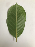 BA63FF12-95F8-4186-ACB7-2043FB500E16