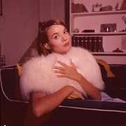 elsa-martinelli-d26