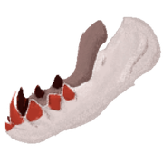 Red Toothed Jaw