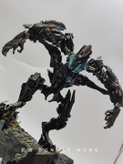 ROTF-Fallen-inhand-13