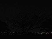 53.2.evening exploration II