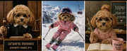 IMG-1953