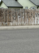 GANGS-1