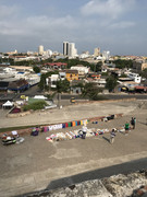 IMG-8562
