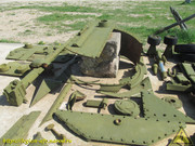 IMG-9556