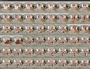 [Image: 23102024123335screenshot.jpg]